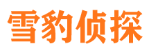 四方侦探公司